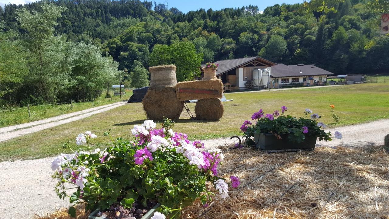 Agriturismo Fattoria Dalcastagne Torcegno Exterior photo